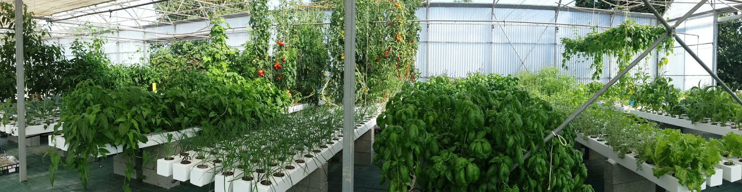 les sourciers microferme hydroponique écologique