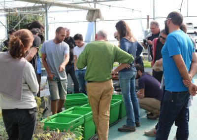 hydroponie formation les sourciers