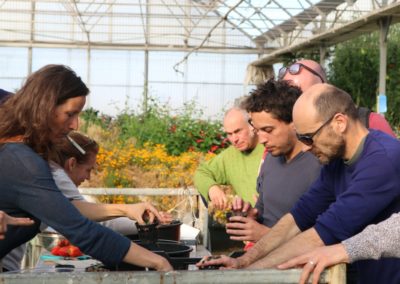 formation hydroponie Les Sourciers