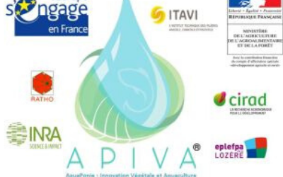 L&rsquo;aquaponie en France