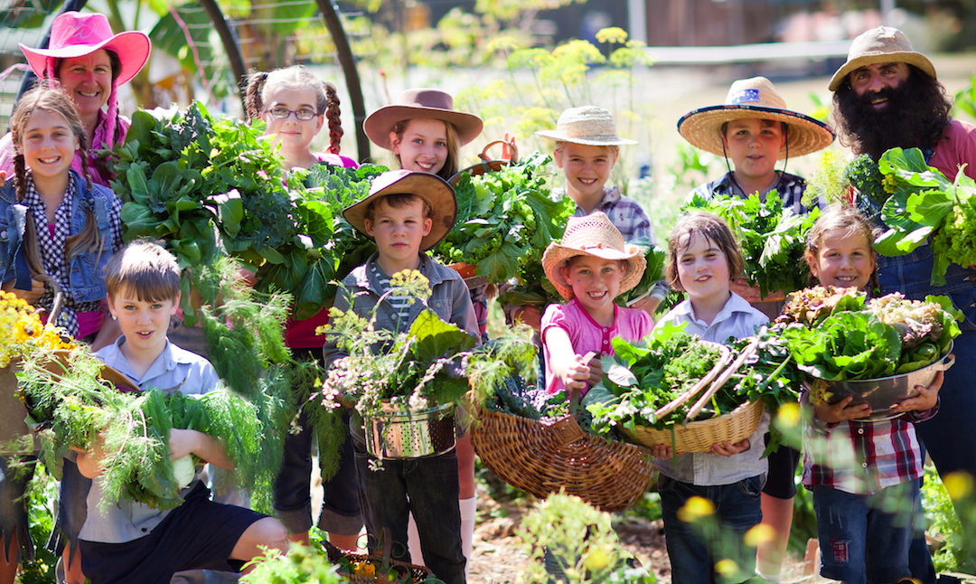 What is permaculture ?