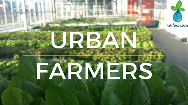 Meeting Urban Farmers in Switzerland