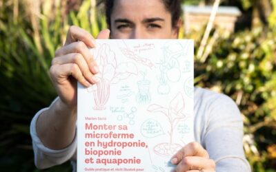 Ecrire son livre en auto-édition : mon retour d’expérience étape par étape