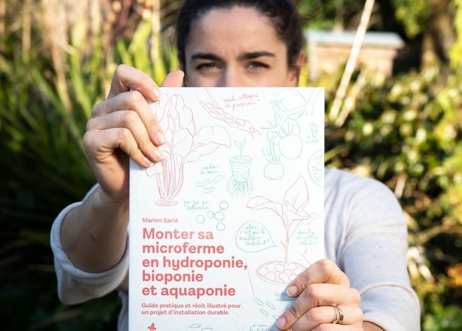 Ecrire son livre en auto-édition : mon retour d&rsquo;expérience étape par étape