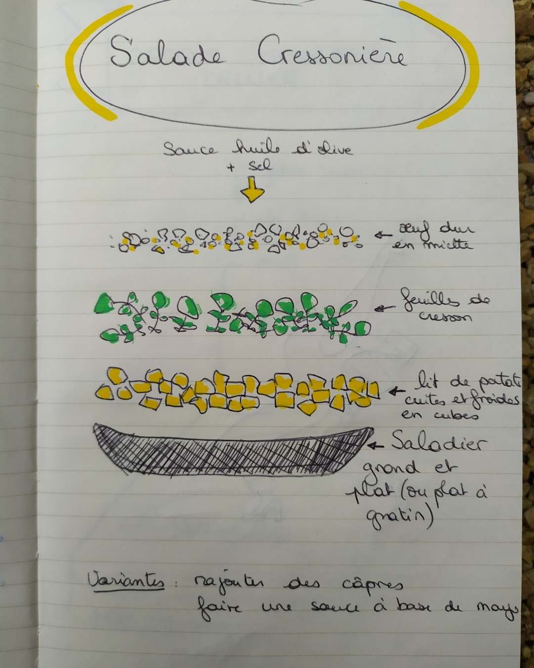 Salade cressonnière - les sourciers