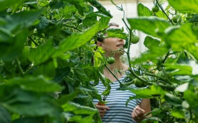 Agriculteurs urbains : les « hors-cases »