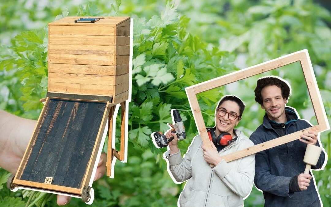 Tuto : séchoir solaire, comment le fabriquer ?