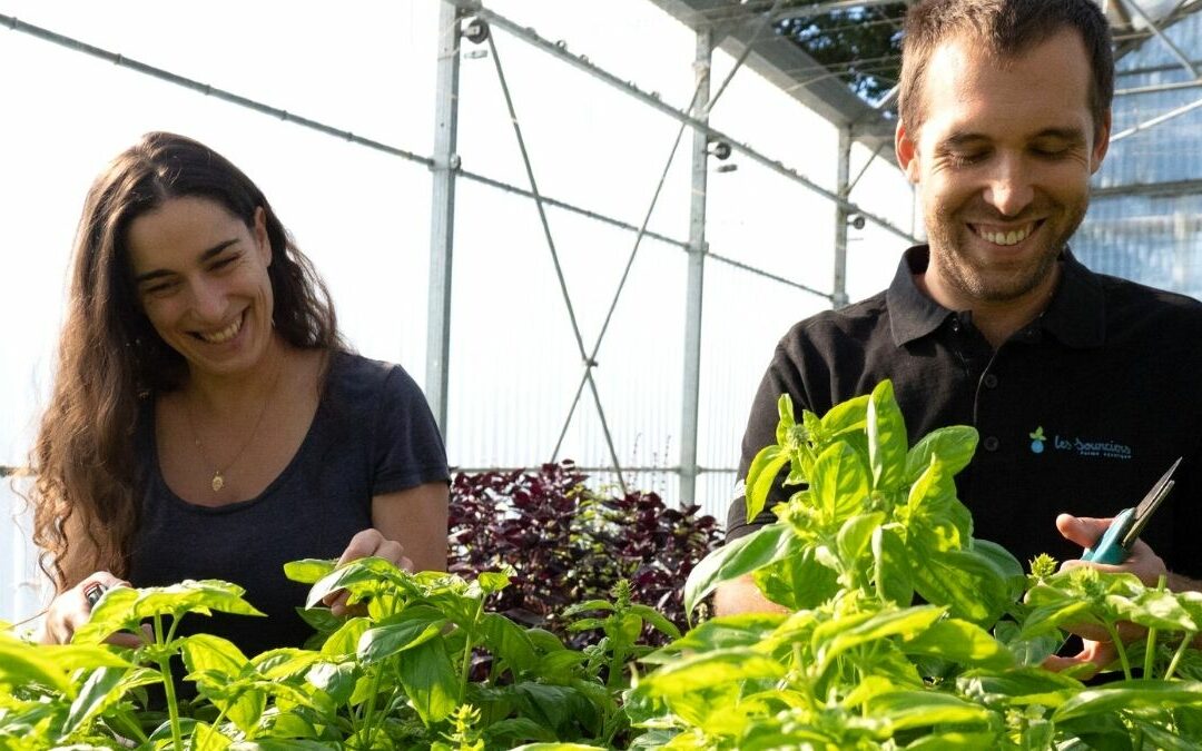 Bouture : définition, méthode, plantes adaptées…