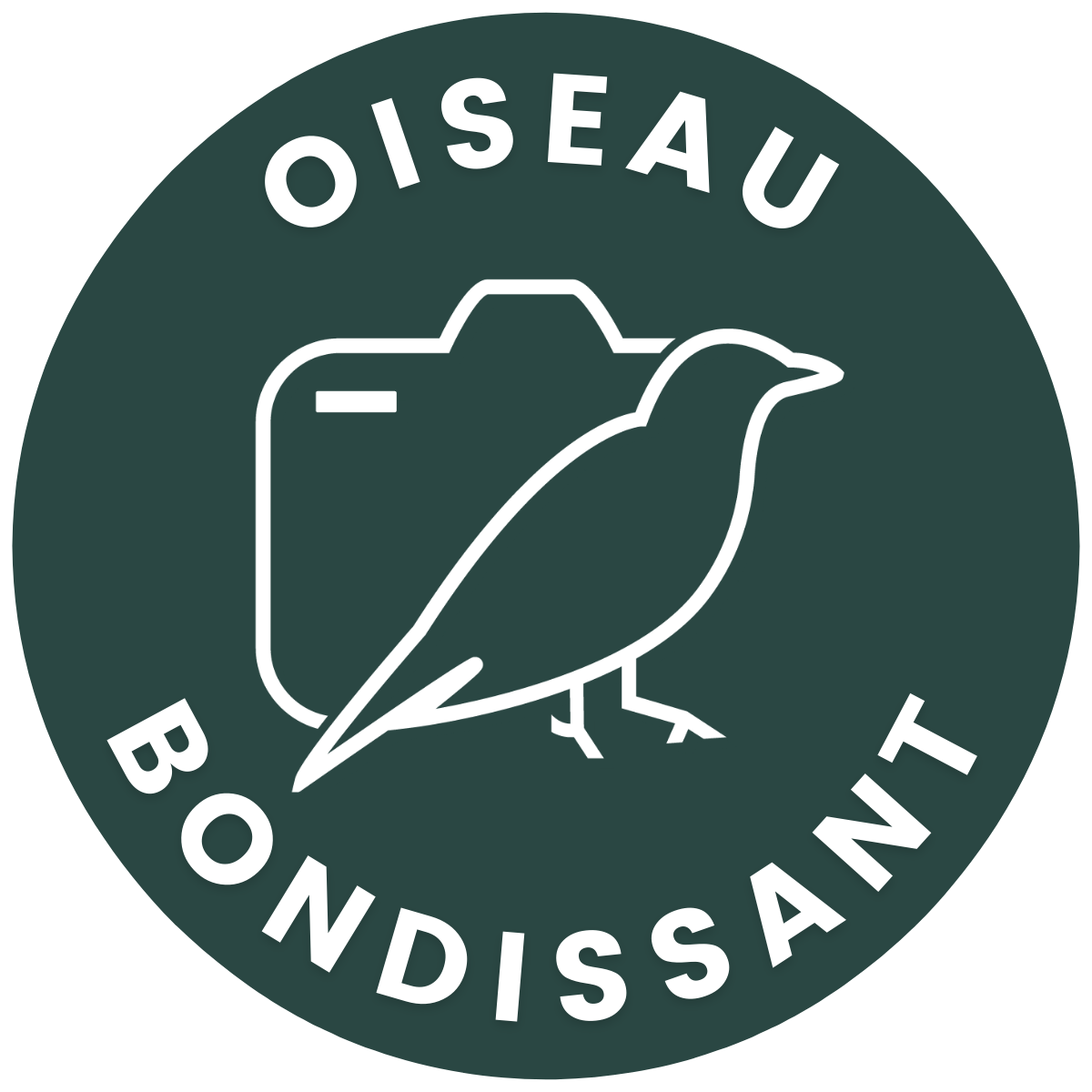Oiseau Bondissant