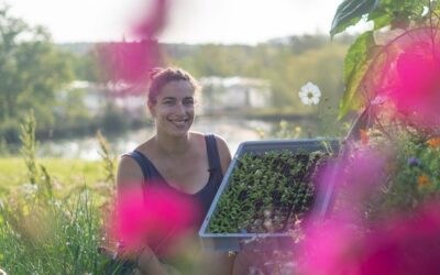 Nouvelle ferme, tutos, formations… #01