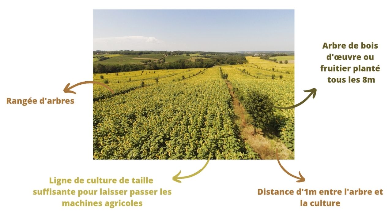 Passer un contrôle de la DRAAF - notre expérience