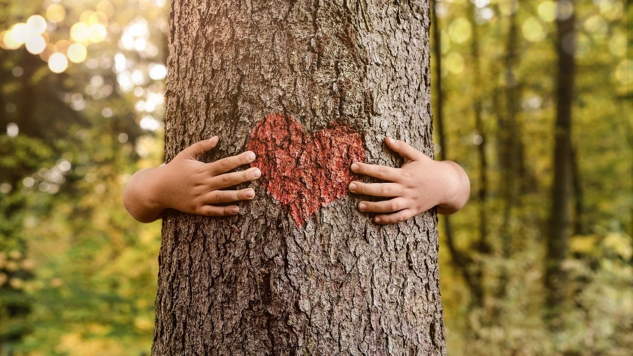 agroforesterie : arbres et agriculture