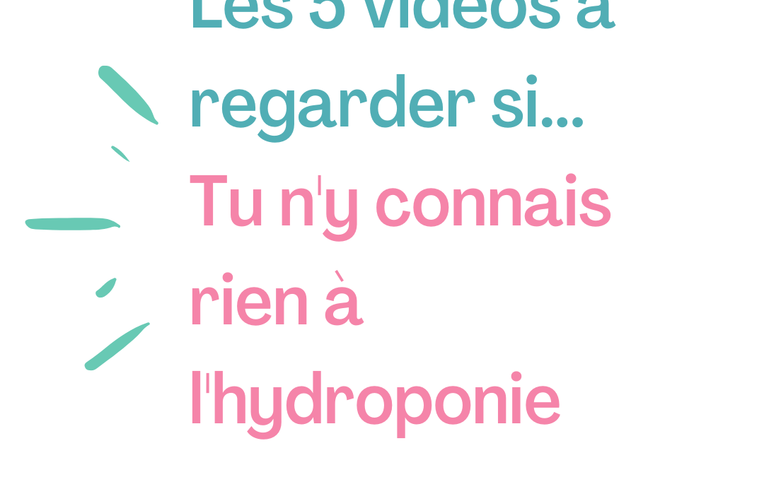 Débuter en hydroponie : 5 vidéos pour découvrir les bases