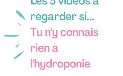 Débuter en hydroponie : 5 vidéos pour découvrir les bases