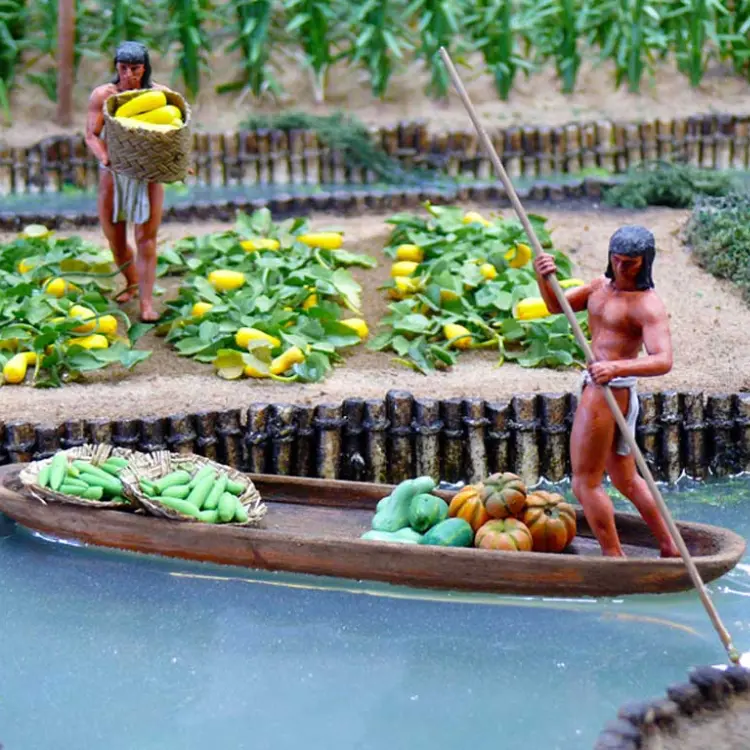 chinanpas hydroponie sourciers