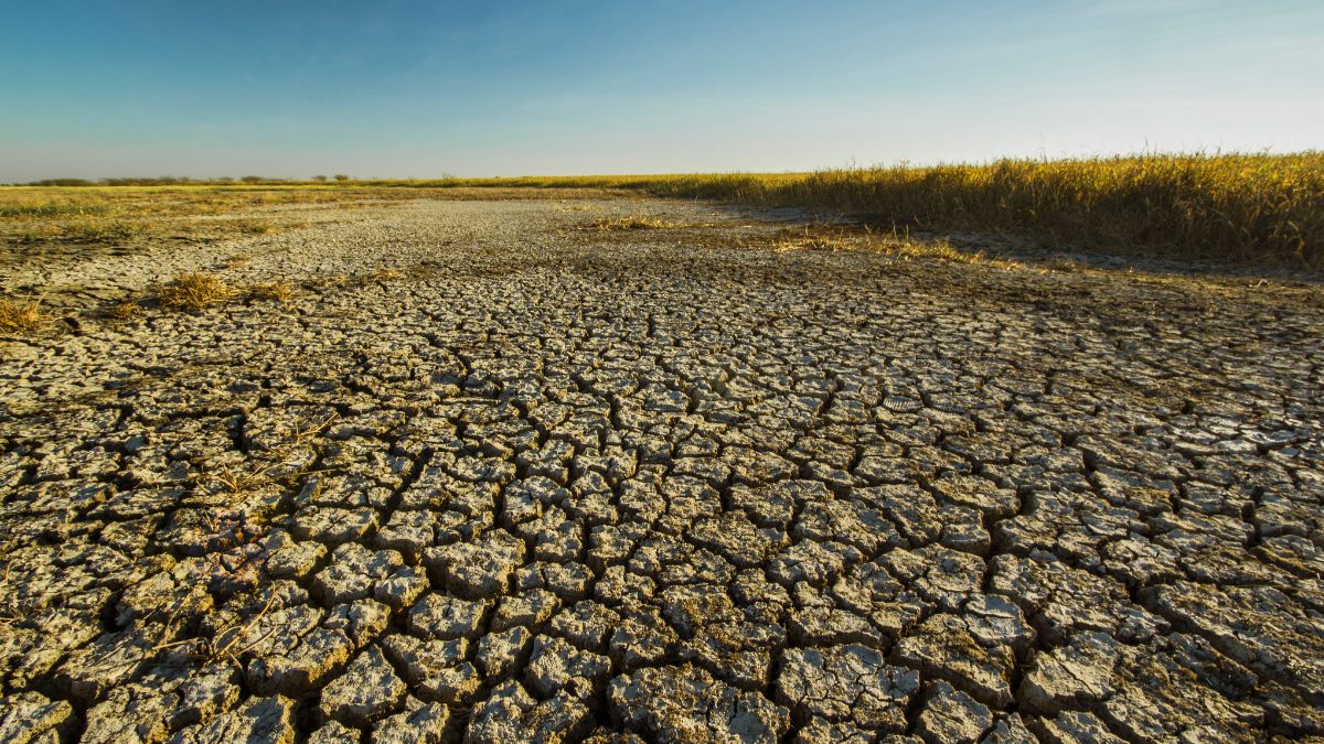 L'hydroponie pour quel pays ?