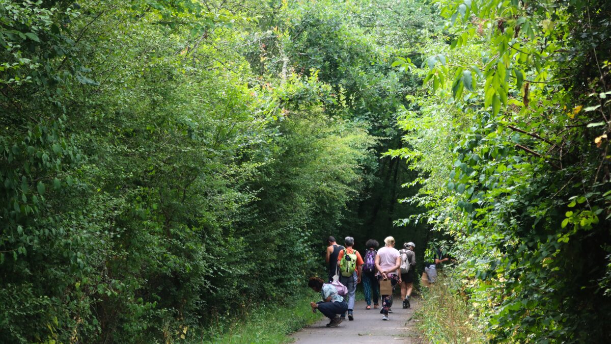Sortie en forêt pour cueillette sauvage