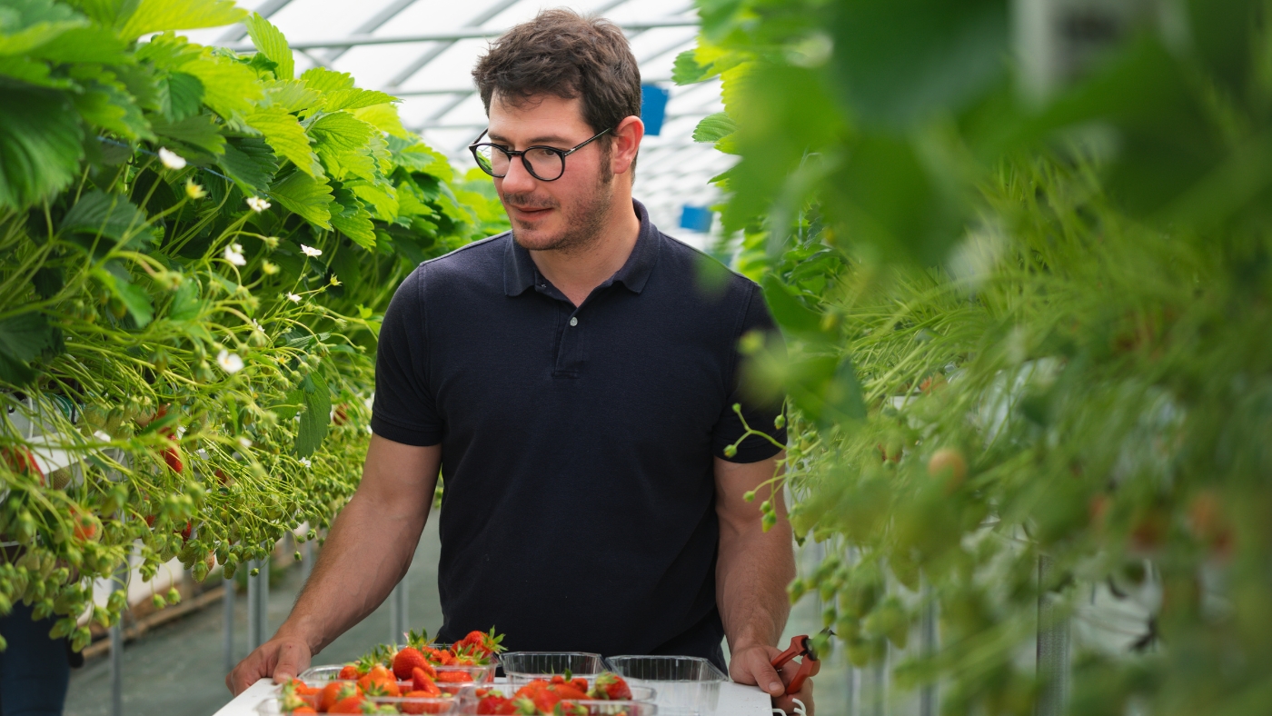 Formation Produire des Fraises par Les Sourciers - 00002 Les Sourciers Marion Nicolas hydroponie