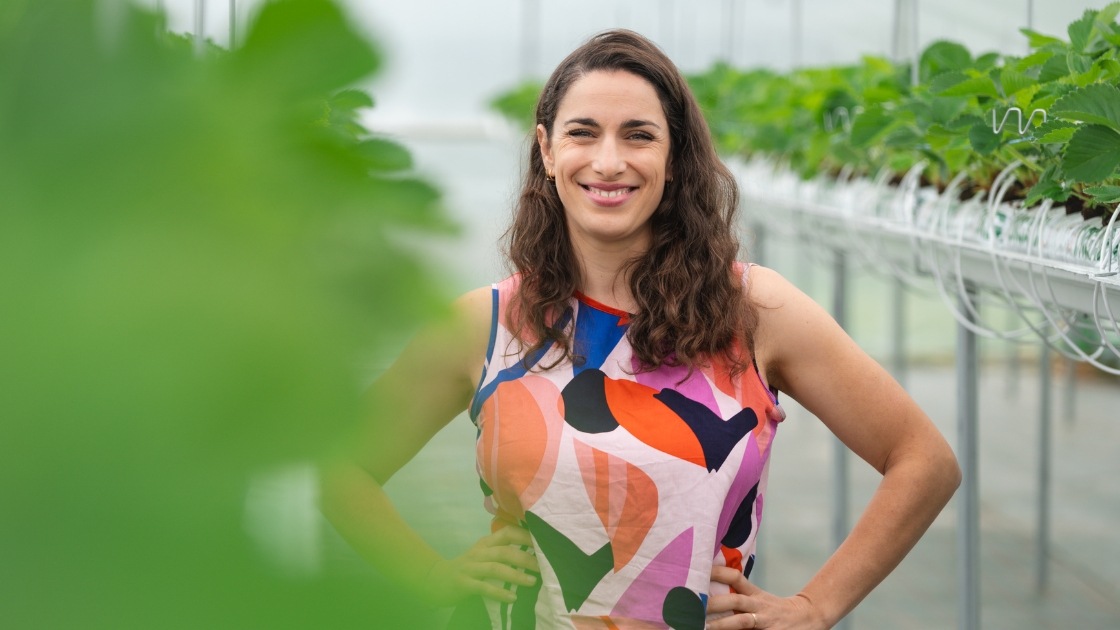 Fraises_LesSourciers©OiseauBondissant-16 Les Sourciers Marion Nicolas hydroponie