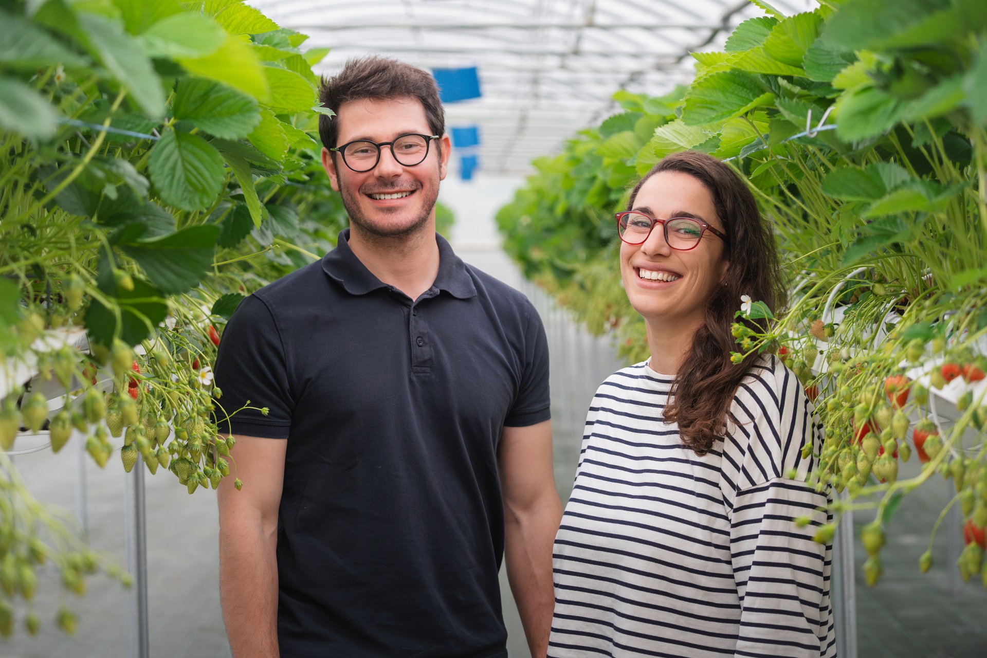 Marion et Guillaume - Formation Produire des Fraises Formation Produire des Fraises