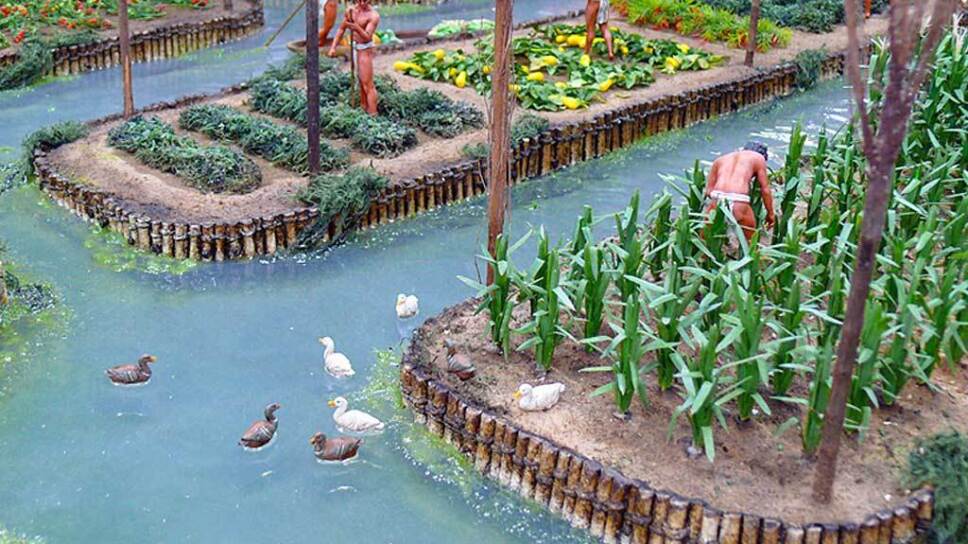 chinampas schema of the chinampas