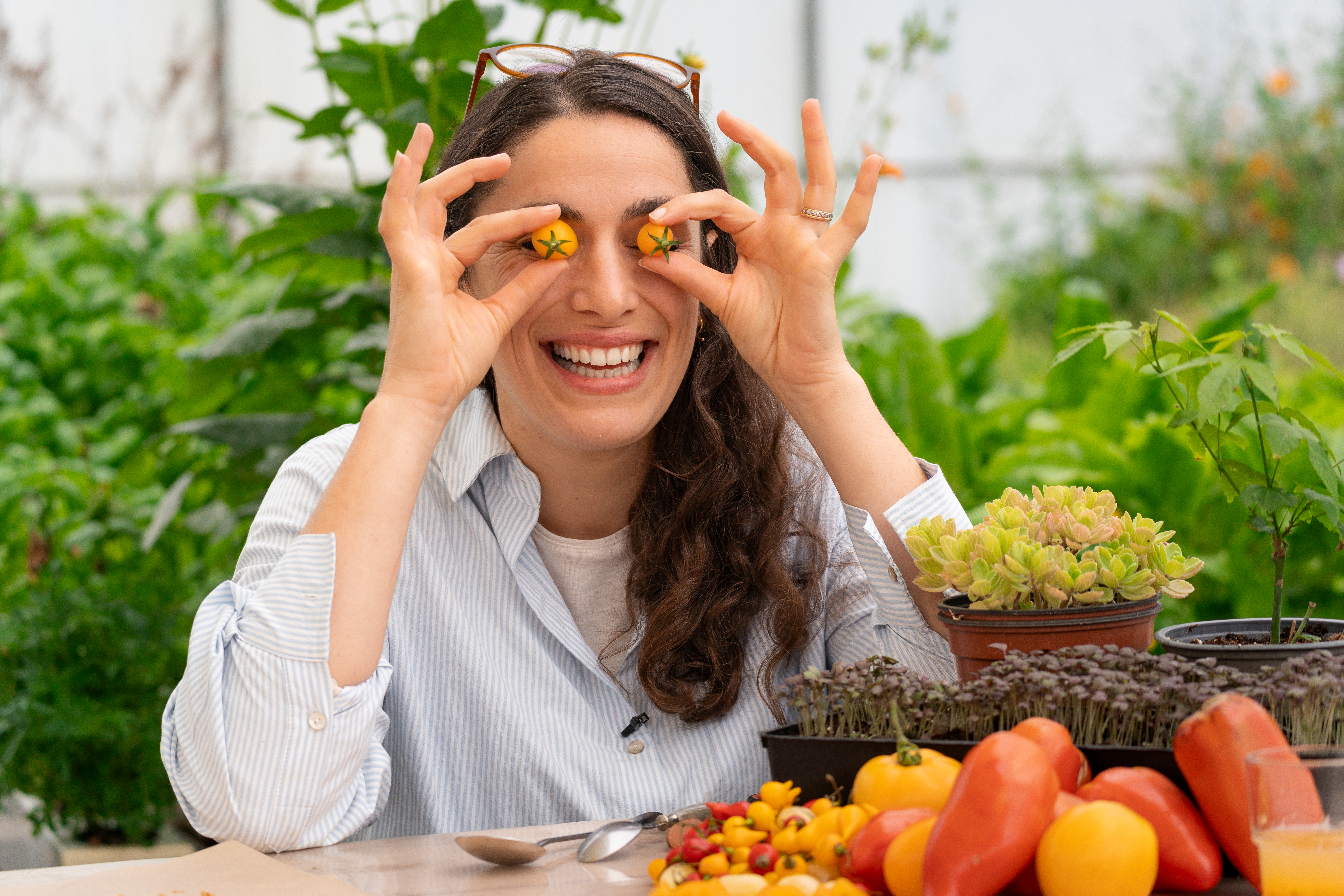 Marion tomate