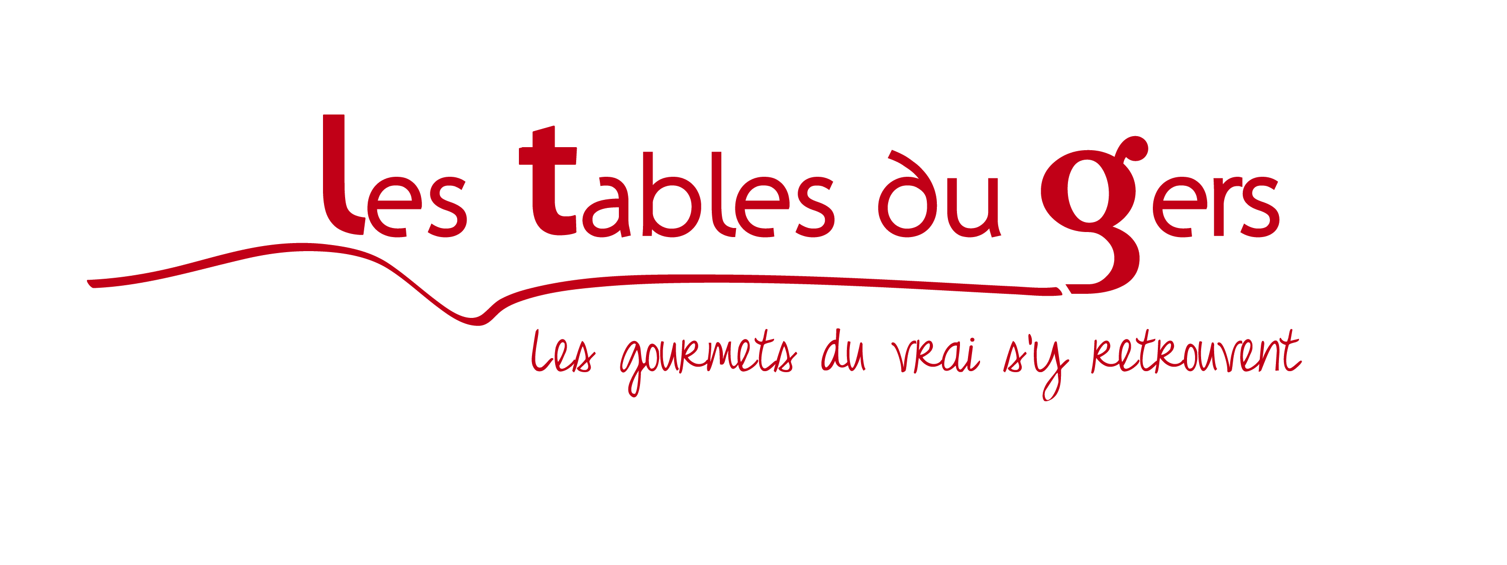 logo TDG transparent