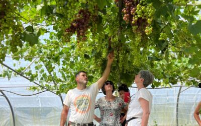 Résilience alimentaire : Le coût de l’autonomie