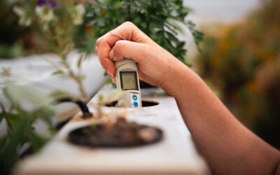 Les meilleures techniques pour mesurer le pH et l’EC en hydroponie