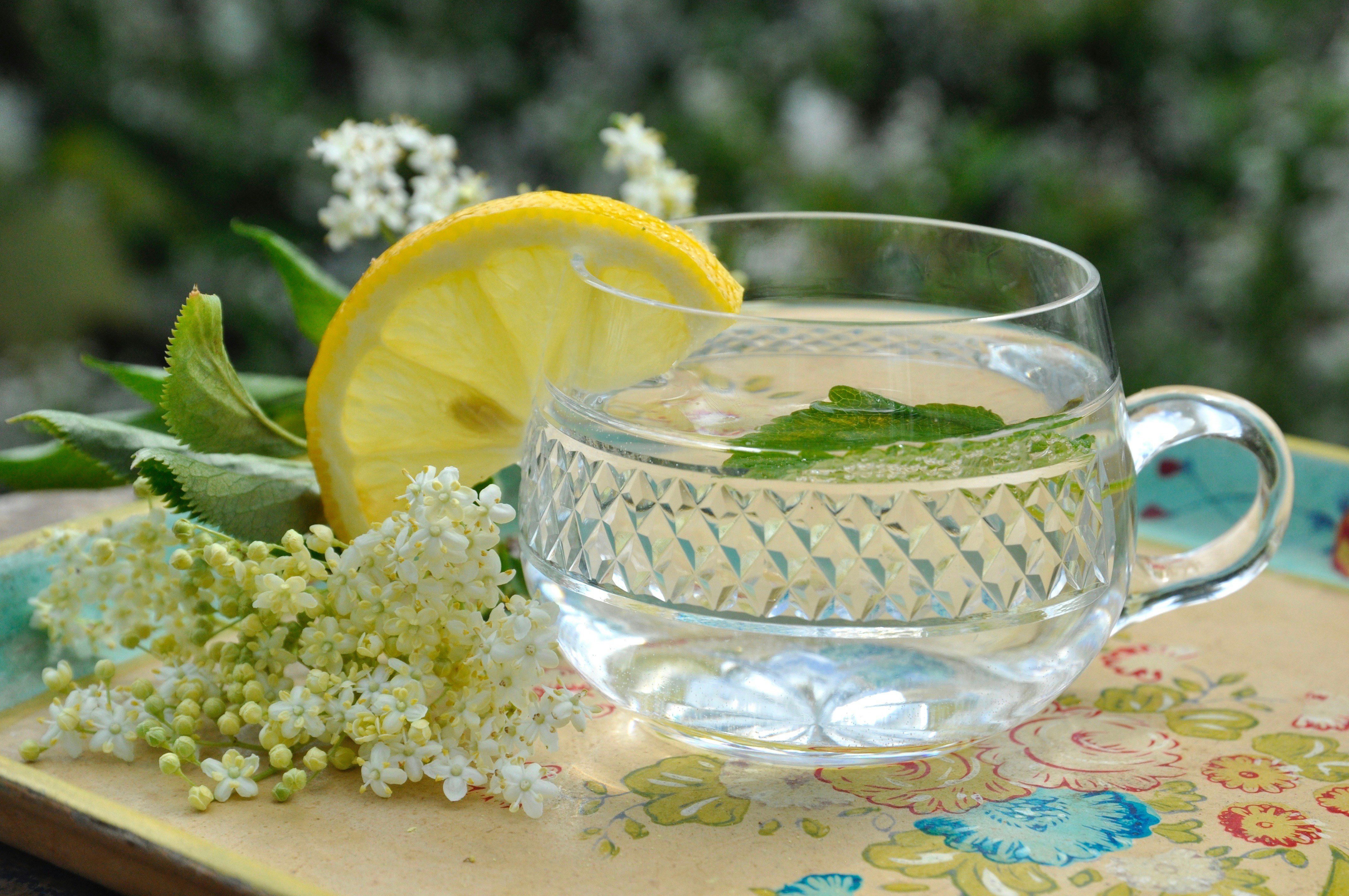 limonade de sureau